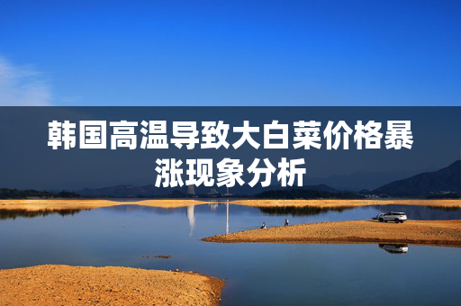 韩国高温导致大白菜价格暴涨现象分析