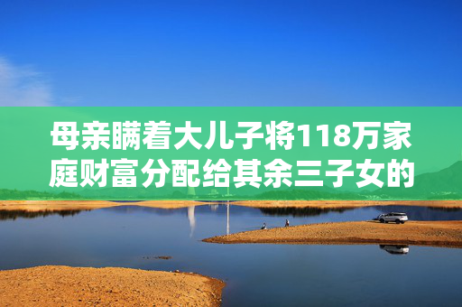 母亲瞒着大儿子将118万家庭财富分配给其余三子女的背后故事
