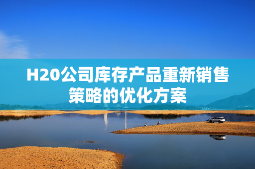 H20公司库存产品重新销售策略的优化方案