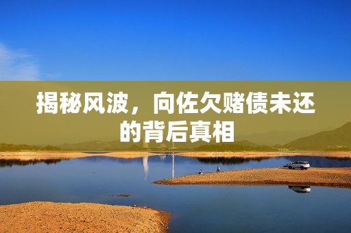 揭秘风波，向佐欠赌债未还的背后真相
