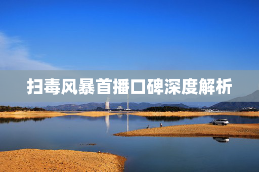 扫毒风暴首播口碑深度解析