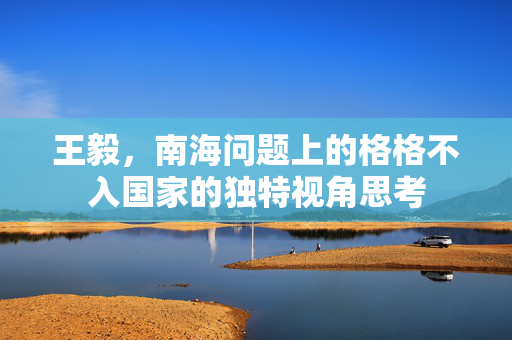 王毅，南海问题上的格格不入国家的独特视角思考