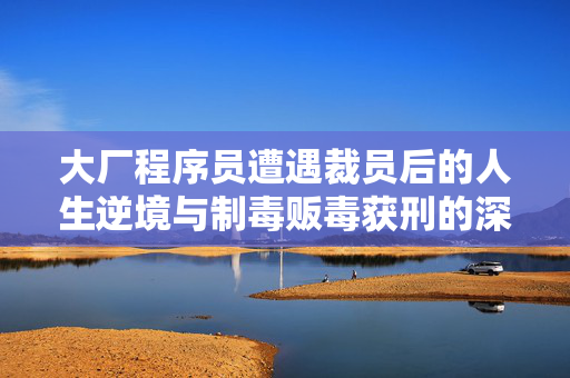 大厂程序员遭遇裁员后的人生逆境与制毒贩毒获刑的深度反思