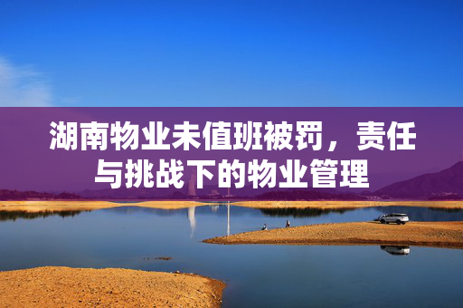 湖南物业未值班被罚，责任与挑战下的物业管理