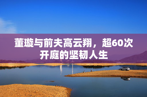 董璇与前夫高云翔，超60次开庭的坚韧人生