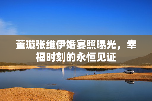 董璇张维伊婚宴照曝光，幸福时刻的永恒见证
