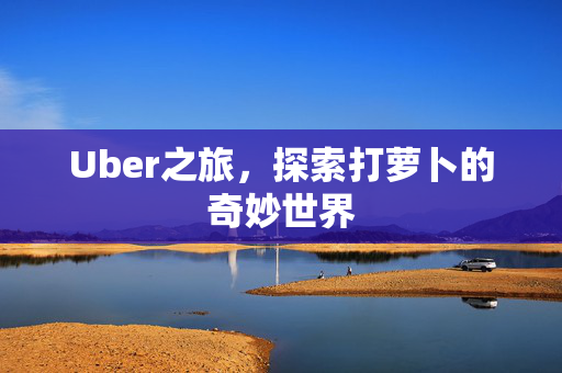 Uber之旅，探索打萝卜的奇妙世界