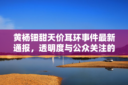 黄杨钿甜天价耳环事件最新通报，透明度与公众关注的双向解读