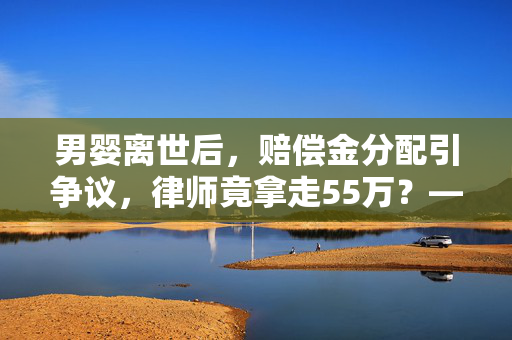男婴离世后，赔偿金分配引争议，律师竟拿走55万？——法律与道德的双重审视