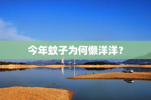 今年蚊子为何懒洋洋？