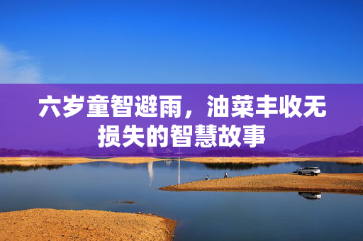 六岁童智避雨，油菜丰收无损失的智慧故事
