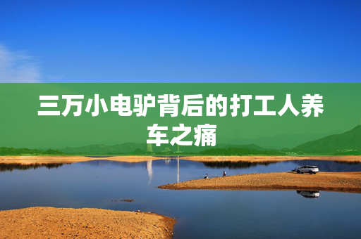 三万小电驴背后的打工人养车之痛