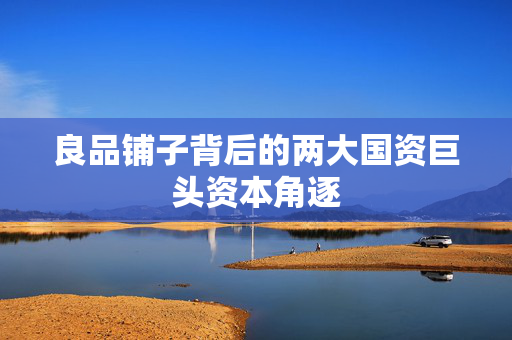 良品铺子背后的两大国资巨头资本角逐