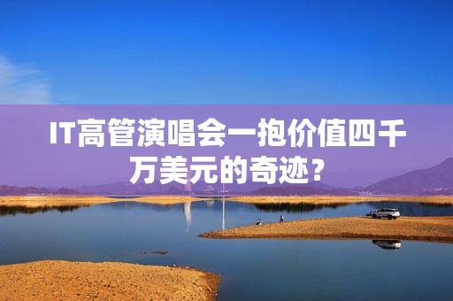 IT高管演唱会一抱价值四千万美元的奇迹？