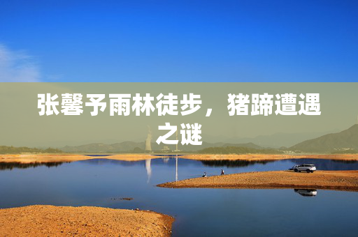 张馨予雨林徒步，猪蹄遭遇之谜