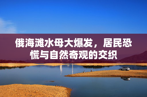 俄海滩水母大爆发，居民恐慌与自然奇观的交织