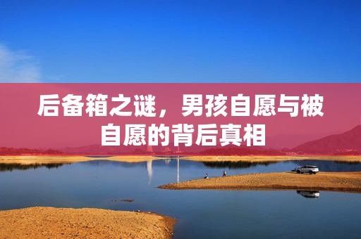 后备箱之谜，男孩自愿与被自愿的背后真相