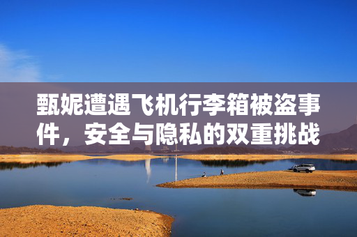甄妮遭遇飞机行李箱被盗事件，安全与隐私的双重挑战