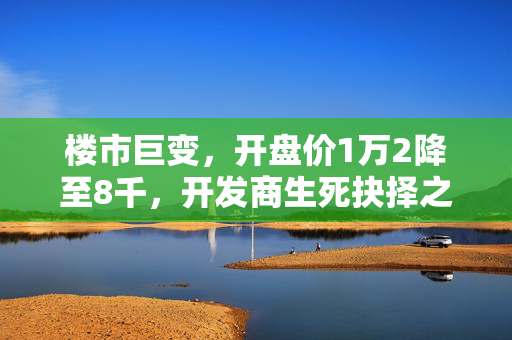 楼市巨变，开盘价1万2降至8千，开发商生死抉择之际的楼市风云