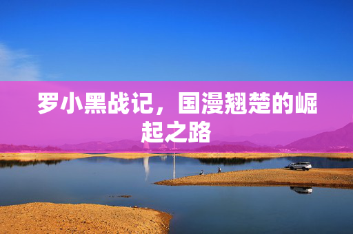 罗小黑战记，国漫翘楚的崛起之路