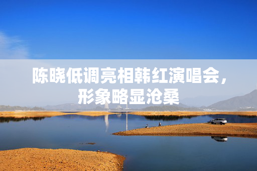 陈晓低调亮相韩红演唱会，形象略显沧桑