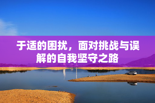 于适的困扰，面对挑战与误解的自我坚守之路