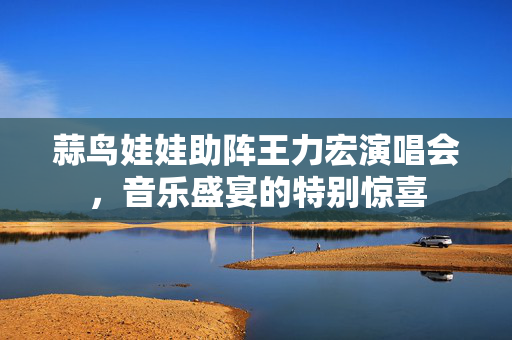 蒜鸟娃娃助阵王力宏演唱会，音乐盛宴的特别惊喜