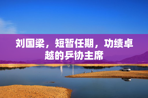 刘国梁，短暂任期，功绩卓越的乒协主席