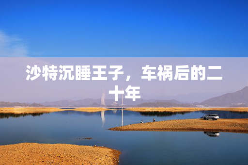 沙特沉睡王子，车祸后的二十年