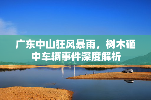 广东中山狂风暴雨，树木砸中车辆事件深度解析