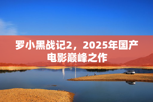 罗小黑战记2，2025年国产电影巅峰之作