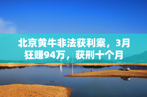北京黄牛非法获利案，3月狂赚94万，获刑十个月