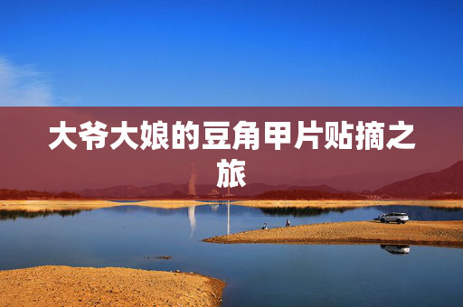 大爷大娘的豆角甲片贴摘之旅