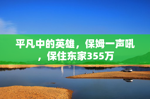 平凡中的英雄，保姆一声吼，保住东家355万