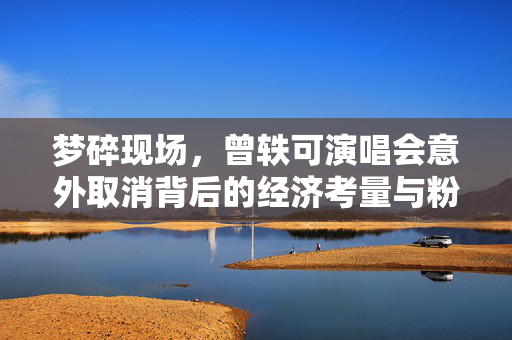 梦碎现场，曾轶可演唱会意外取消背后的经济考量与粉丝心声