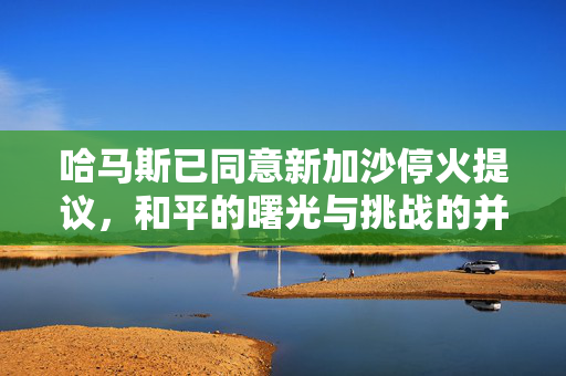 哈马斯已同意新加沙停火提议，和平的曙光与挑战的并存