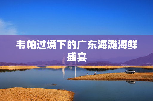 韦帕过境下的广东海滩海鲜盛宴