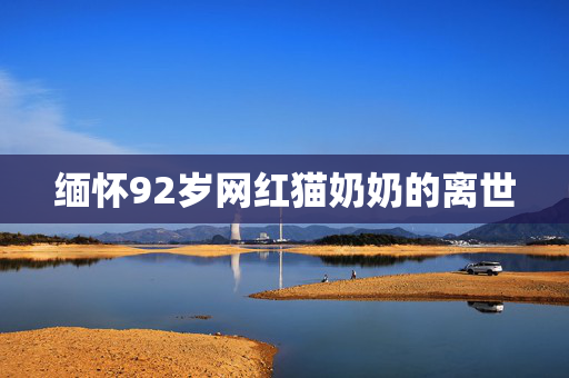 缅怀92岁网红猫奶奶的离世