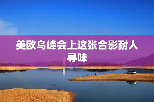 美欧乌峰会上这张合影耐人寻味