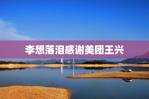 李想落泪感谢美团王兴