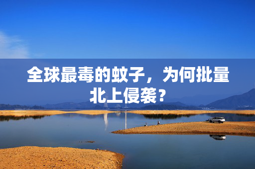 全球最毒的蚊子，为何批量北上侵袭？