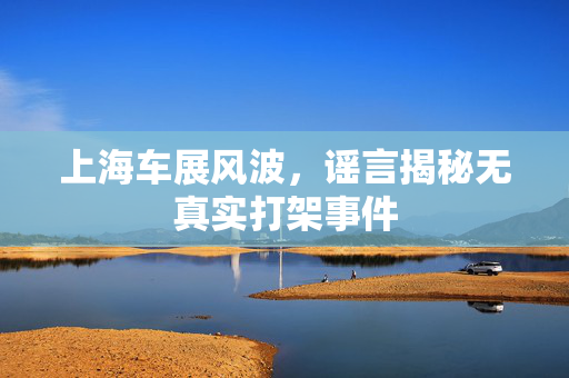 上海车展风波，谣言揭秘无真实打架事件