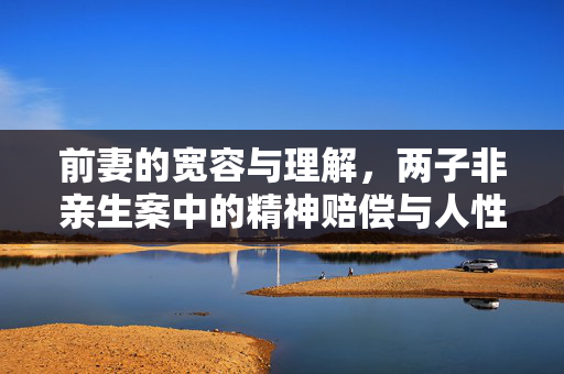 前妻的宽容与理解，两子非亲生案中的精神赔偿与人性光辉