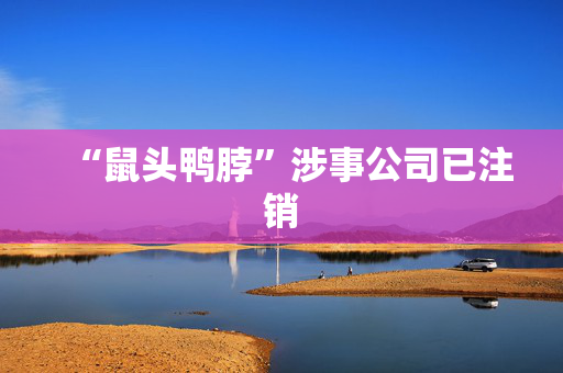“鼠头鸭脖”涉事公司已注销
