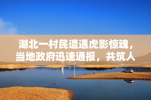 湖北一村民遭遇虎影惊魂，当地政府迅速通报，共筑人兽和谐新篇章