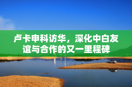 卢卡申科访华，深化中白友谊与合作的又一里程碑