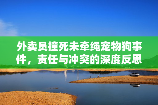 外卖员撞死未牵绳宠物狗事件，责任与冲突的深度反思