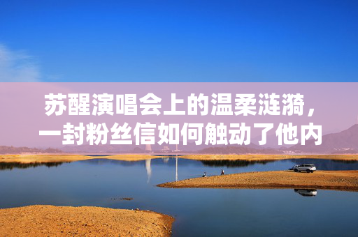 苏醒演唱会上的温柔涟漪，一封粉丝信如何触动了他内心的柔软
