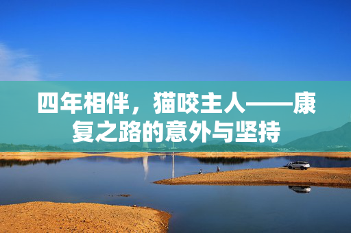 四年相伴，猫咬主人——康复之路的意外与坚持