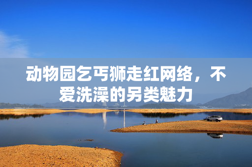 动物园乞丐狮走红网络，不爱洗澡的另类魅力